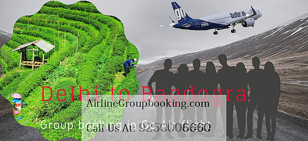 GoAir Delhi to Bagdogra Group Booking 2 concentrate