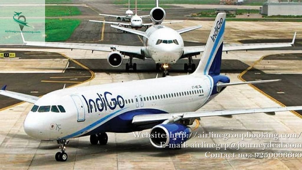 indigo 4 1