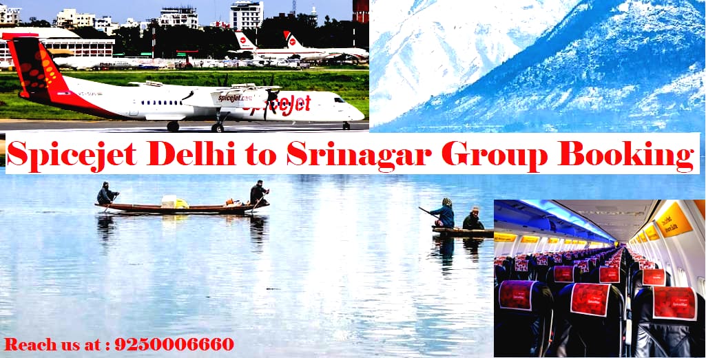 Spicejet Delhi to Srinagar Group Booking boost