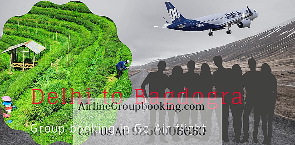 GoAir Delhi to Bagdogra Group Booking 2 concentrate