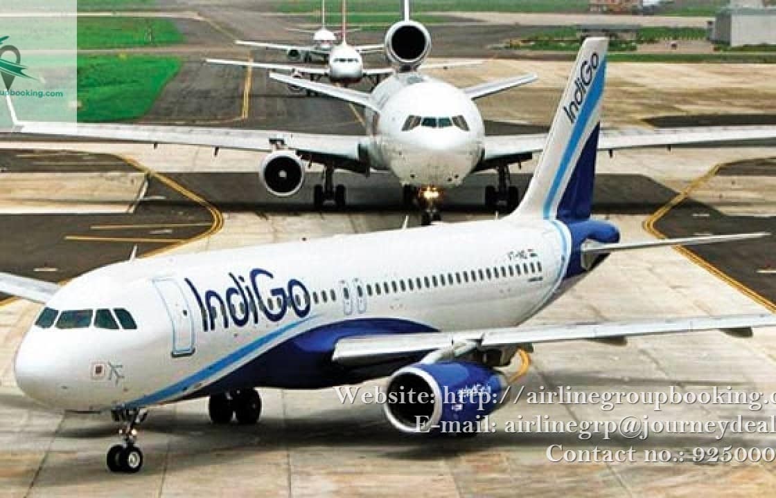 indigo 4 1