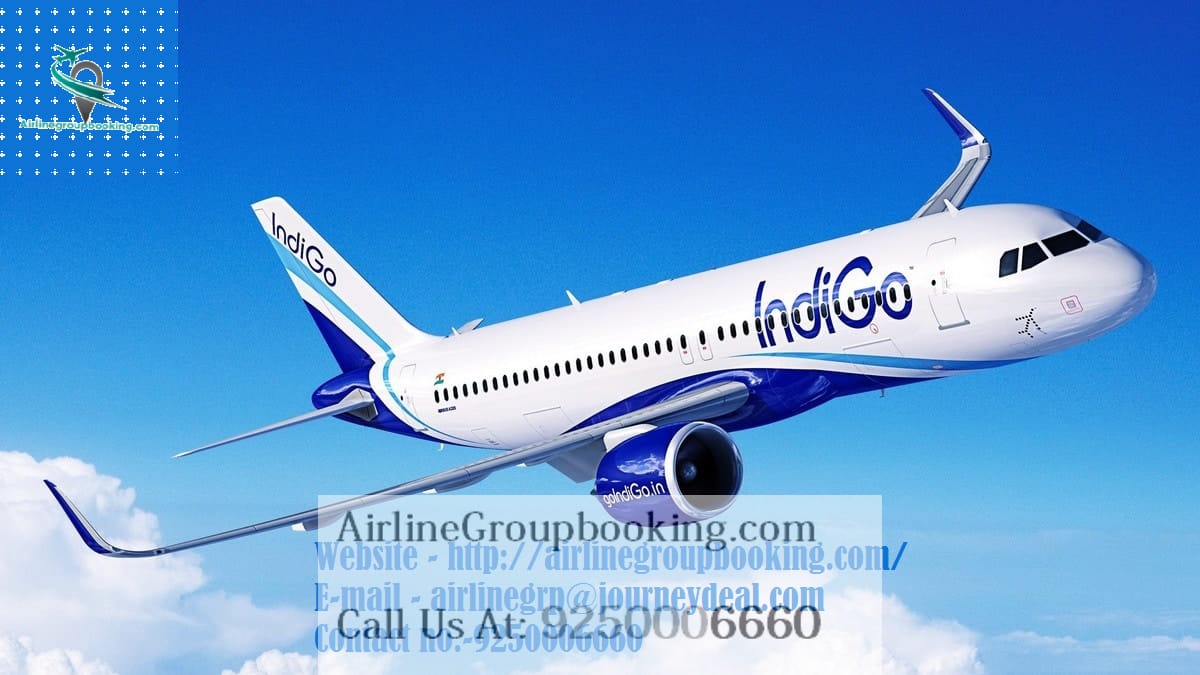 Indigo airline group booking
