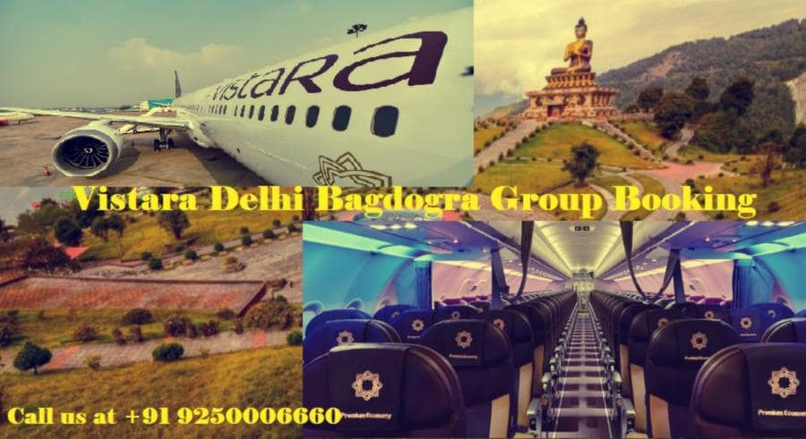 Vistara airline operates flights from Delhi forest 1